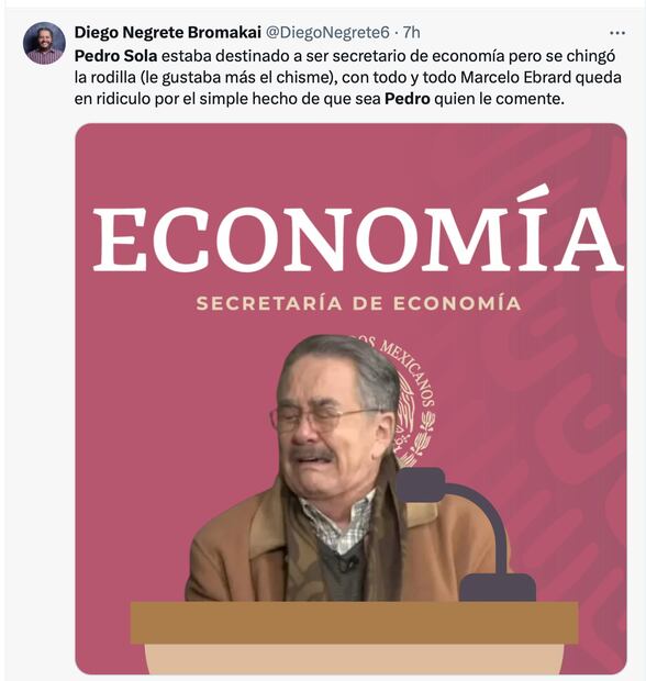 Los mejores memes que dejó la respuesta de Pedro Sola a Marcelo Ebrard. Foto: Captura de pantalla