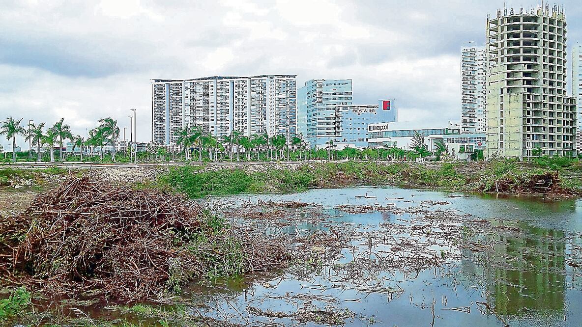 Aracely Domínguez, integrante de la asociación Salvemos Manglar Tajamar, aseguró que los jueces se encargan de obstaculizar el proceso legal en contra de Fonatur (ARCHIVO EL UNIVERSAL)