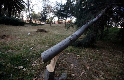 Proponen tipificar ecocidio como delito en Michoacán