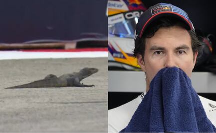 VIDEO: Un lagarto se metió a la pista en el Gran Premio de Singapur