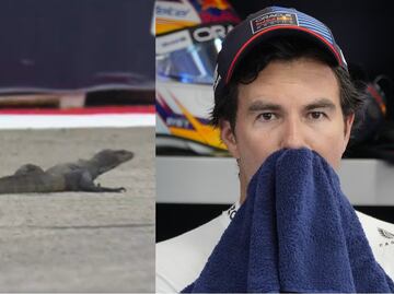 VIDEO: Un lagarto se metió a la pista en el Gran Premio de Singapur