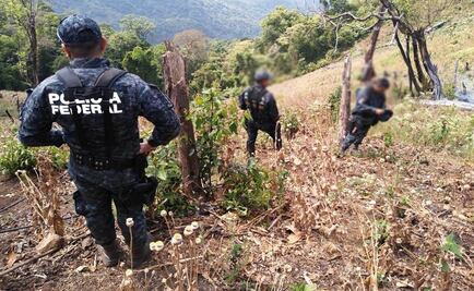PF suma 16 quejas por presuntas violaciones a derechos humanos en primer trimestre del año