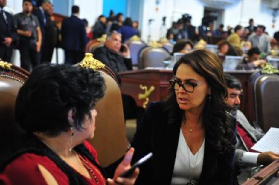 Urge diputada a rescatar animales abandonados por peregrinaciones a La Villa