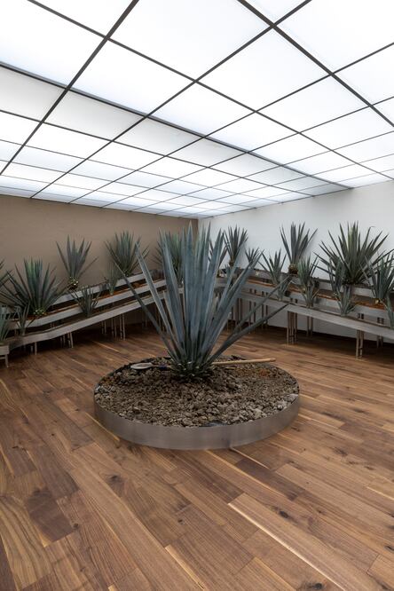 El museo abrió sus puertas el 15 de marzo y estará abierto hasta diciembre. (Foto Cortesía)