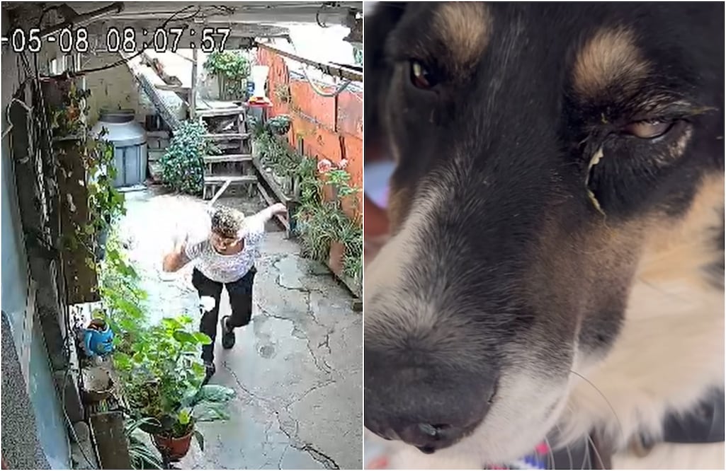 FOTO: tomadas de redes sociales/ EL UNIVERSAL/