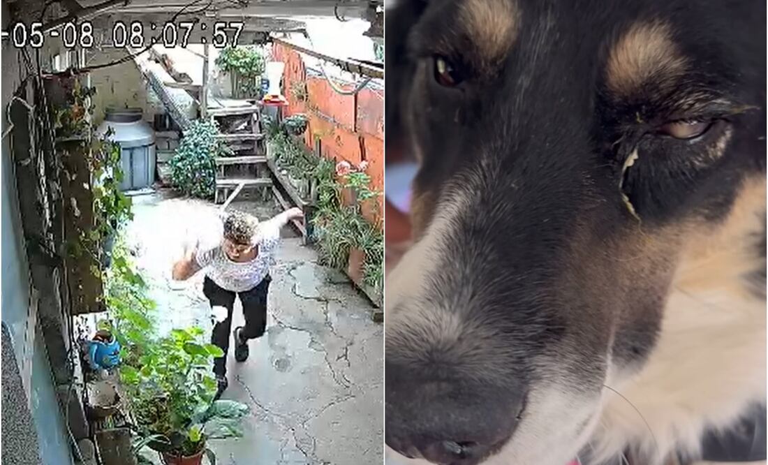 FOTO: tomadas de redes sociales/ EL UNIVERSAL/