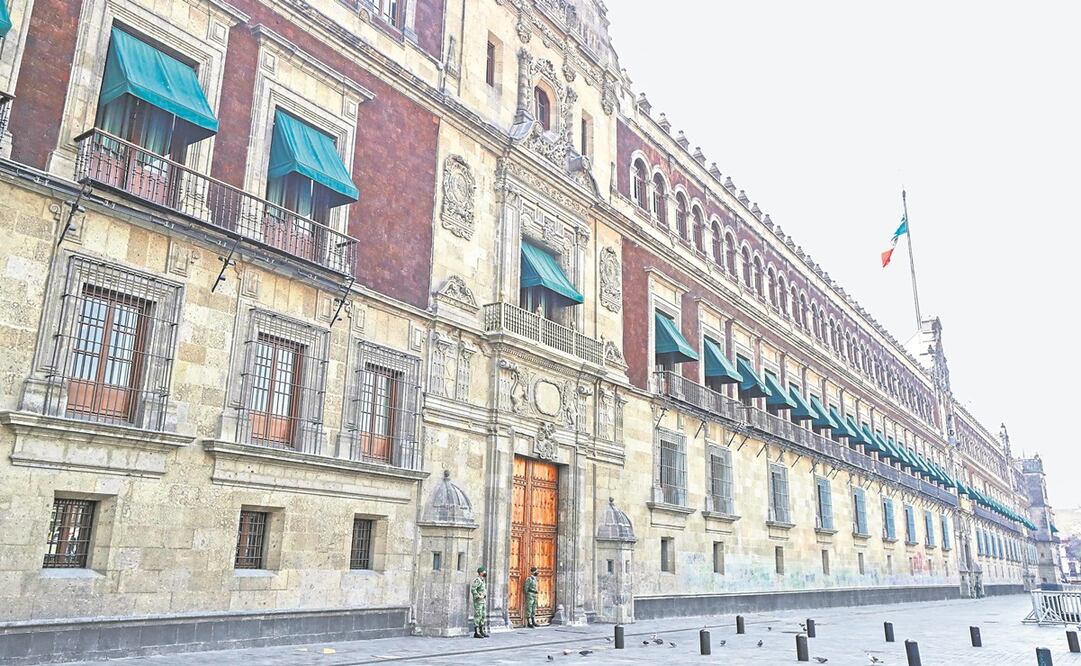 Además de ratas, el servicio de fumigación en Palacio Nacional y otros inmuebles incluirá control de termitas, abejas, escarabajos, polillas, palomas y murciélagos. Foto: Archivo/EL UNIVERSAL.