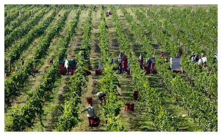 Casa Madero estrena look
