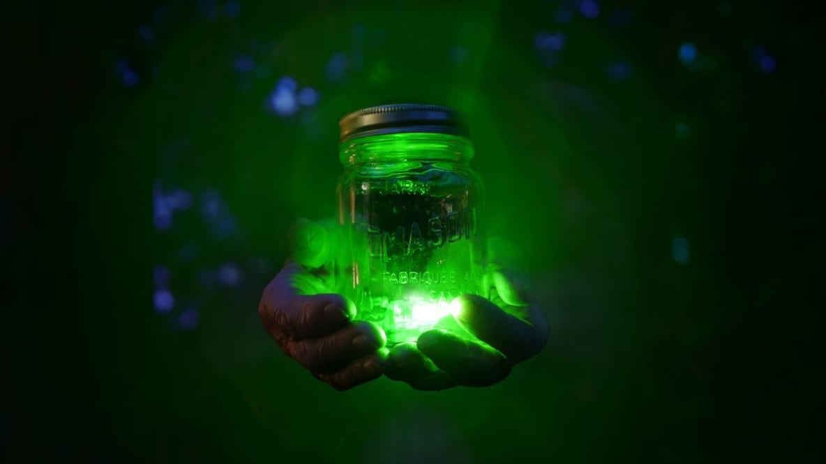 La luz contiene valiosa información. Foto: Getty Images vía BBC