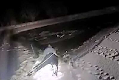 Policía rescata a perrita que cayó a estanque congelado