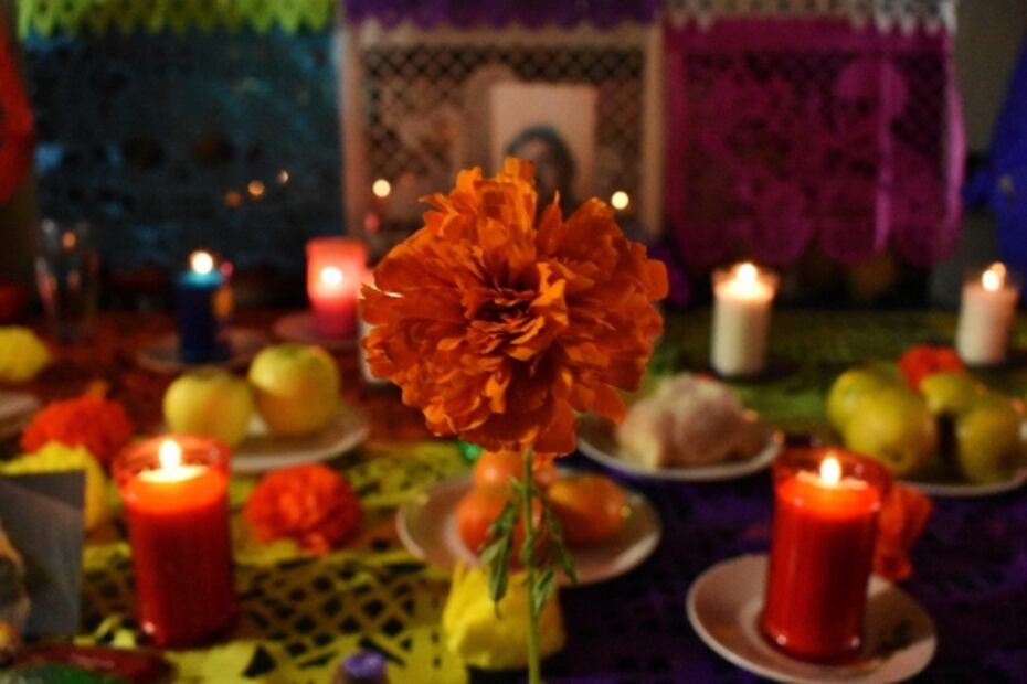 La flor que acompaña a nuestros muertos