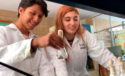 Mexican students to compete in Taiwan International Science Fair