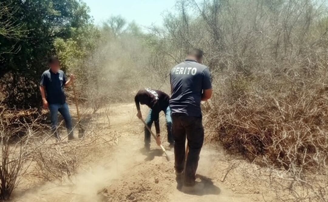 Foto: Fiscalía de Sonora