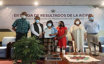 Entregan 26 autorizaciones a comunidades indígenas de Oaxaca para cultivar marihuana