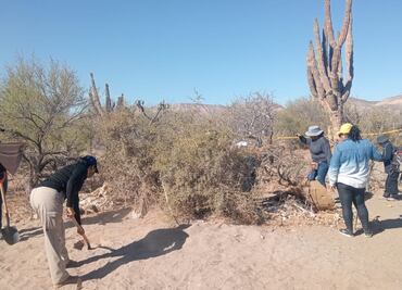 Localizan 5 fosas clandestinas durante el fin de Semana Santa en BCS; lugar previamente había sido resguardado