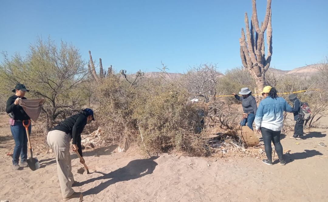 El Colectivo de Búsquedas por La Paz confirmó el hallazgo de 5 fosas clandestinas durante el fin de Semana Santa en La Paz, BCS (21/04/2025). Foto: Especial