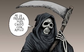 Su aliado consentido
