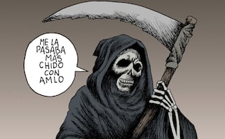 Su aliado consentido