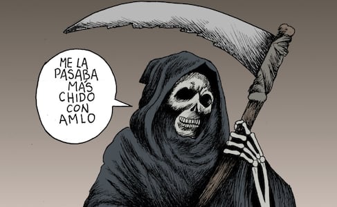 Su aliado consentido
