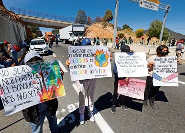 “No seas indiferente, el bosque nos necesita”: Exigen intervención de las autoridades ante incendios