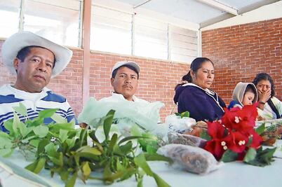 Medicina tradicional indígena debe ser reconocida: CNDH