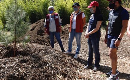 Sheinbaum descarta que se privatice el Bosque de Chapultepec