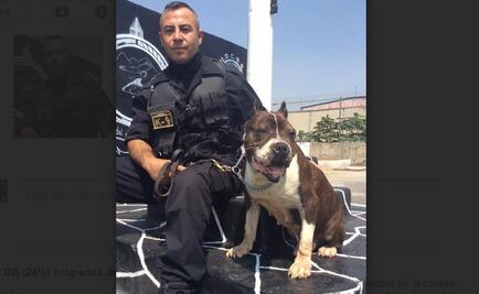 'Muma', el perro que somete a sicarios