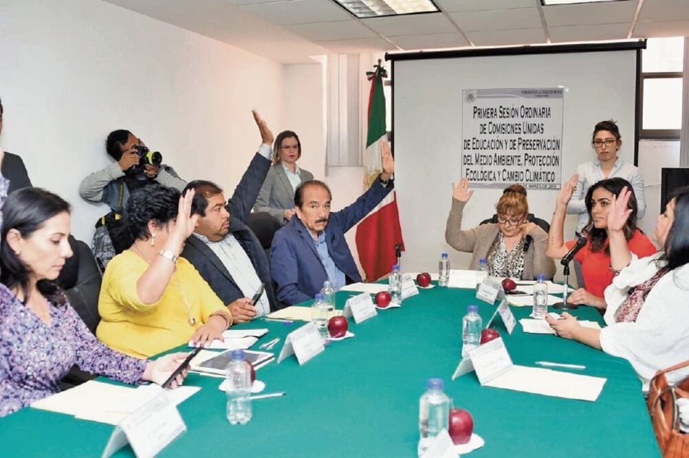 La iniciativa fue impulsada por el grupo parlamentario del Partido Verde y se aprobó en comisiones la semana pasada. (ESPECIAL)