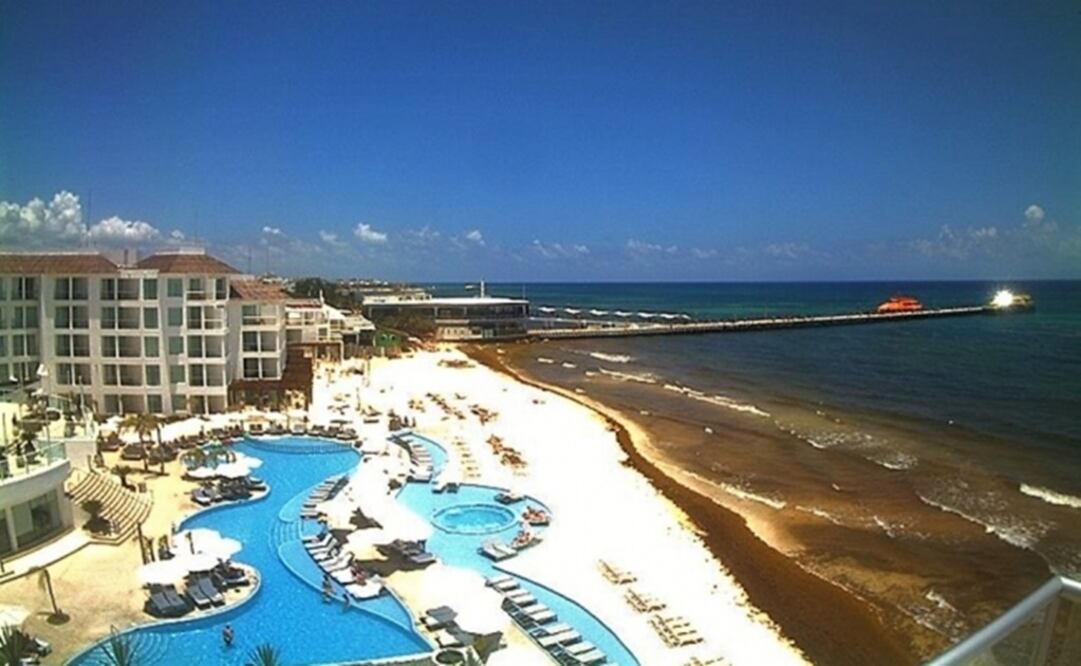 Foto: Cortesía Red de Monitoreo Sargazo-Cancún