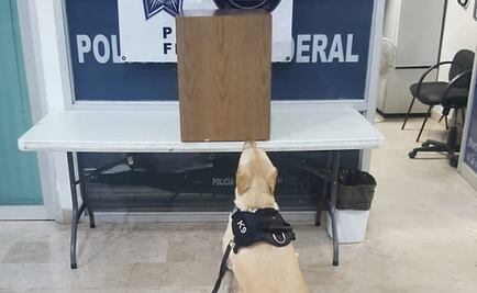 Policía Federal asegura en Culiacán 6 kilos de cristal escondidos en mueble de madera