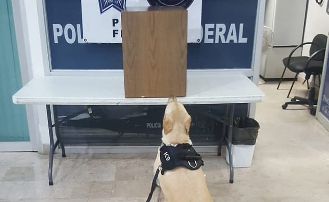 Foto: créditos especiales