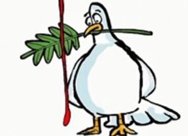 Noti Cartón: Pintando de rojo la paz