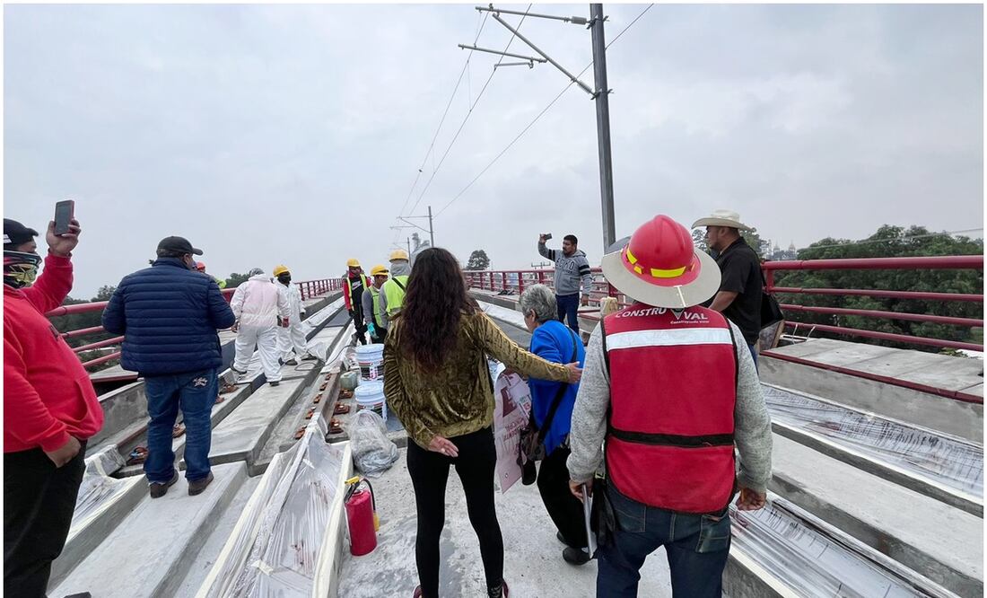 Manifestantes en el Tren Suburbano. Foto: Especial