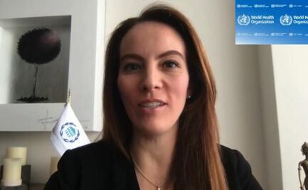 Violencia contra las mujeres ya es una epidemia mundial: Gabriela Cuevas