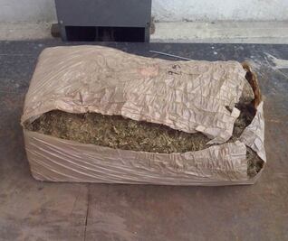 Detienen a joven con 50 kg de mariguana
