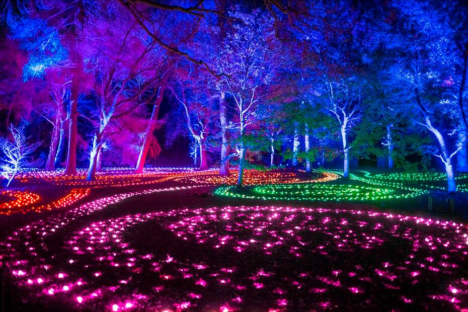 El jardín botánico montó 18 instalaciones de luces. Foto: Phil Wilkinson