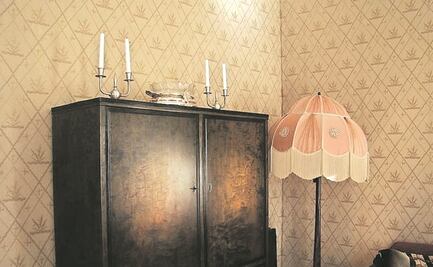 Condenan por abuso a hombre que se escondió 2 años y encontraron en un armario en Alemania