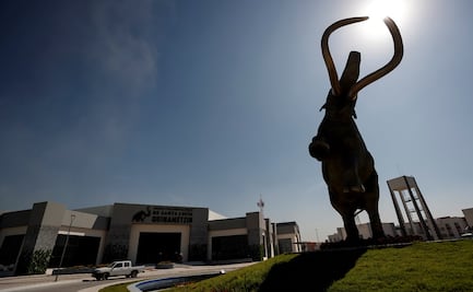 Así será el Museo del Mamut en el Aeropuerto Internacional Felipe Ángeles