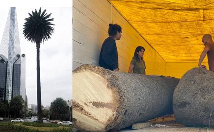 Dos artistas visuales y un escultor, los encargados de convertir a La Palma en una obra de arte