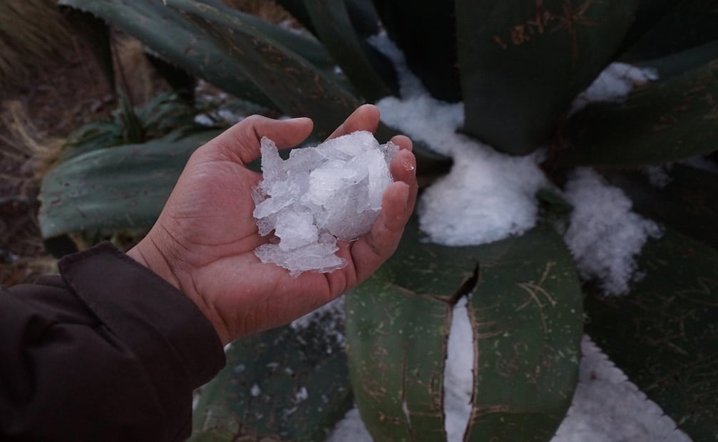 Aunque se han reportado presuntas muertes por heladas en Oaxaca, Protección Civil descarta que se deba al frío.