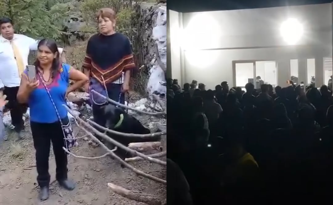 Turistas agredidas en Temoaya; pobladores las golpean por ingresar con perro a manantial . Foto: Especial