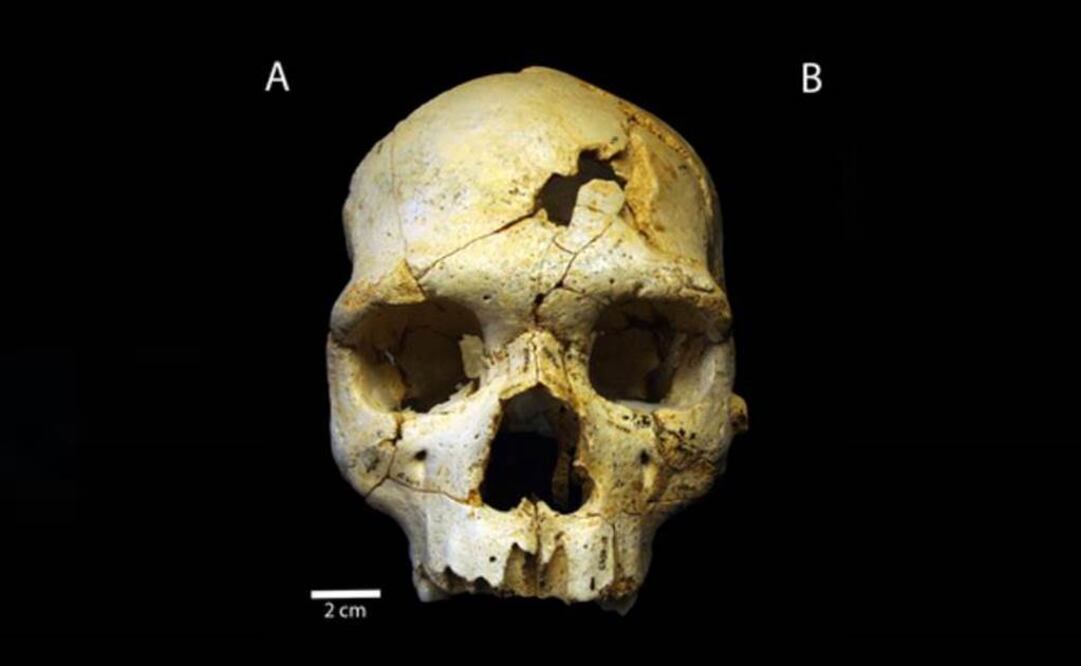 Los estudios realizados en los últimos años han permitido descartar las dos últimas hipótesis. Foto: PLOS ONE
