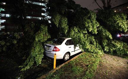 Lluvias dejan hundimiento y árboles caídos en Villahermosa