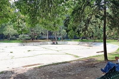 CDMX proyecta estanque para ajolotes