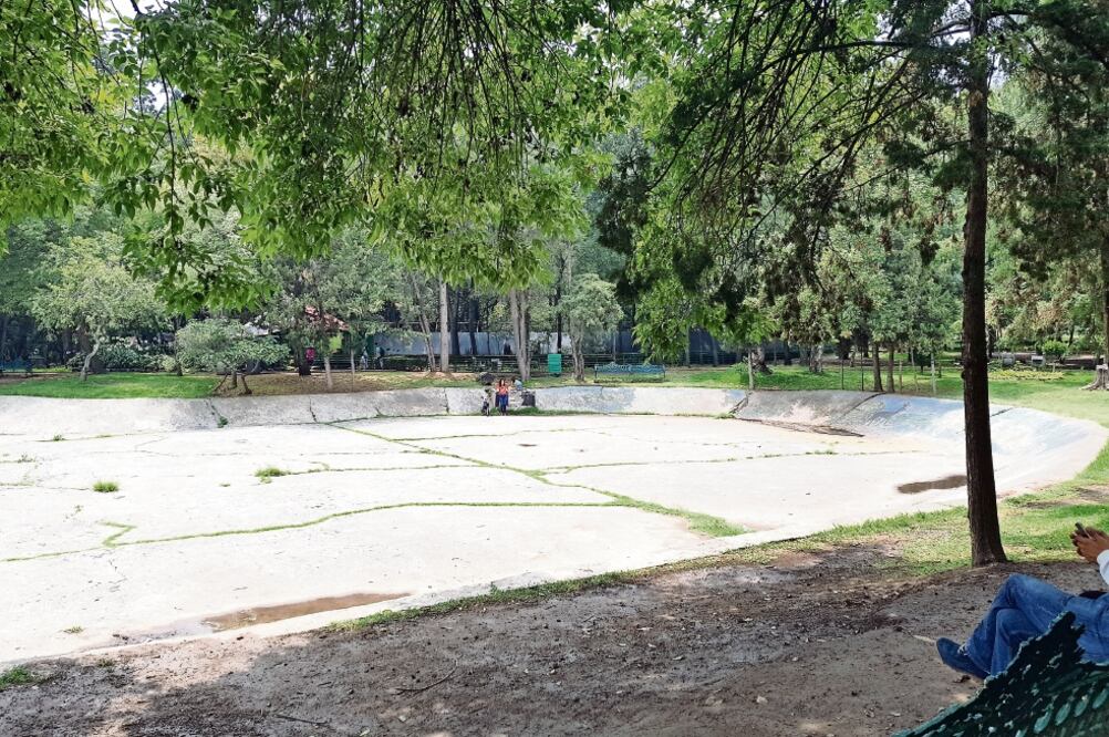 El ajolote es una especie endémica de Xochimilco y su sobrevivencia corre peligro debido al alto grado de contaminación de los canales. El nuevo hábitat de los ejemplares es para que puedan vivir en un lugar más amplio y reproducirse. SANDRA HERNÁNDEZ