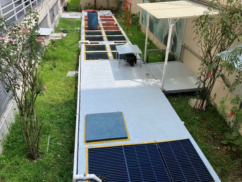 El Incifo consigue certificación. FOTO: Especial/ EL UNIVERSAL/