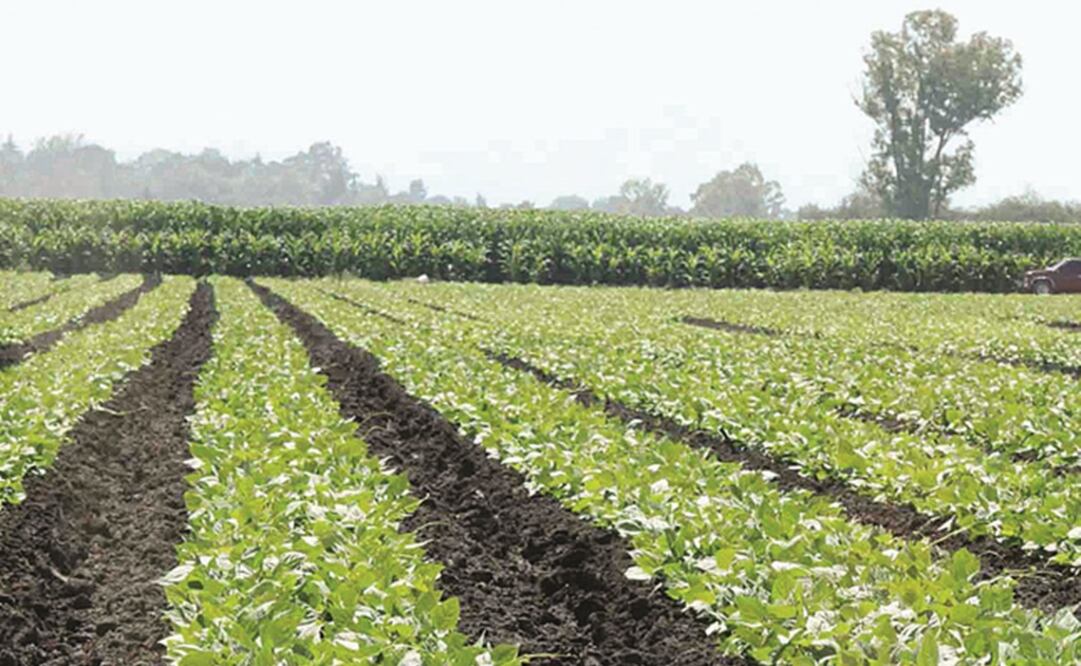 Foto: Archivo. El Universal.