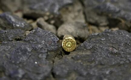 Adolescente que atacó a balazos a perrito queda en libertad en Sinaloa tras acuerdo; deberá asistir a terapia