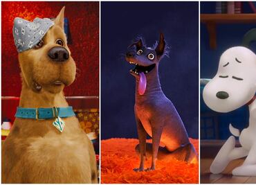 En el día del Perro: canes famosos e inolvidables del cine y la TV