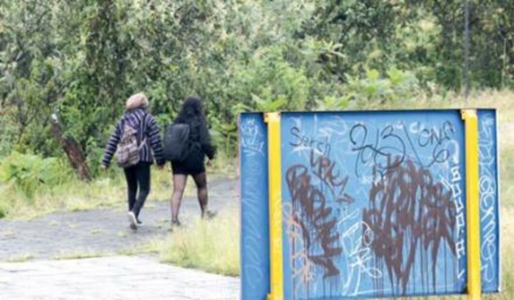 Al rescate de flora y fauna en CU